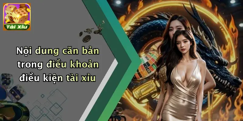Nội dung căn bản trong điều khoản điều kiện tài xỉu