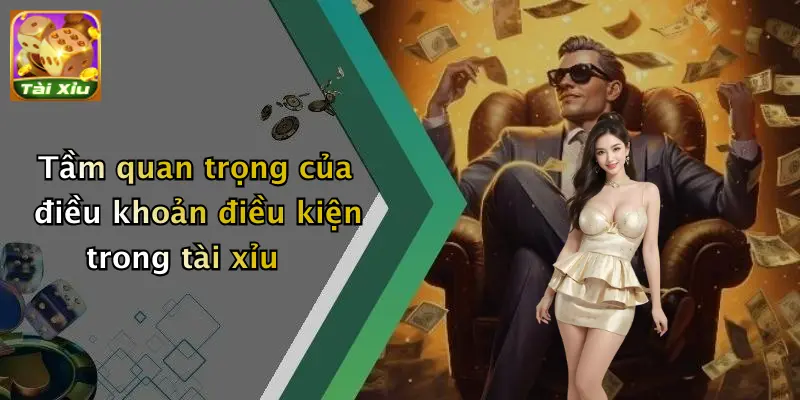 Tầm quan trọng của điều khoản điều kiện trong tài xỉu