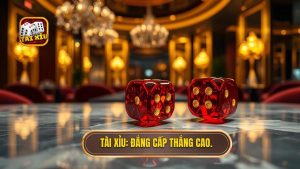 Bí kíp chơi Tài Xỉu xác suất thắng cao: Từ lý thuyết đến thực chiến tại videofanforever.com