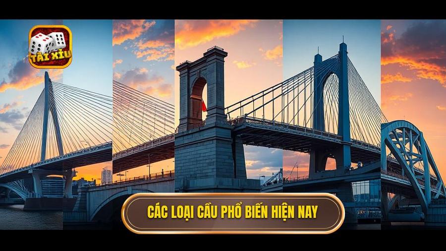 Tổng hợp các loại cầu phổ biến nhất hiện nay